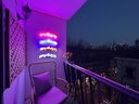 Mazda Miata LED Neon Sign (SPECIAL DEAL 50 FIRST ORDERS)