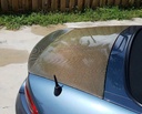 Trunk with ducktail (Soft Top Only) For Miata ND/Mk4