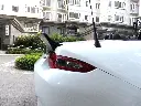 754809344214311906.webp