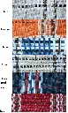 plaid.webp