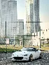 IMG_2065.webp