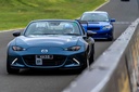 Fender Flares For Miata ND/Mk4