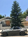 GT Wing (Type 2) For Miata NA/Mk1