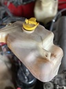 Aluminum Coolant Expansion Overflow Tank For Miata NA/Mk1