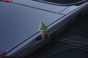 Christmas Tree Antenna For Miata NC/ND