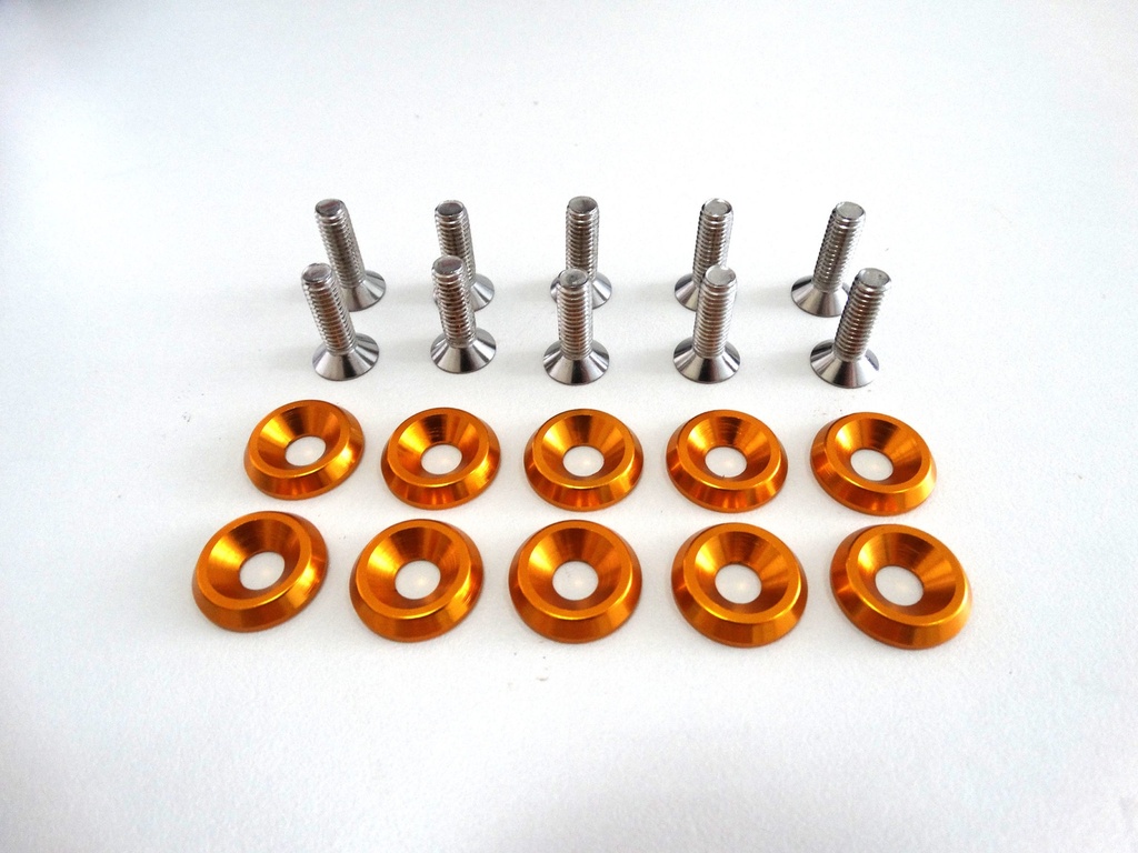 Bolts with washers x10 (M6)